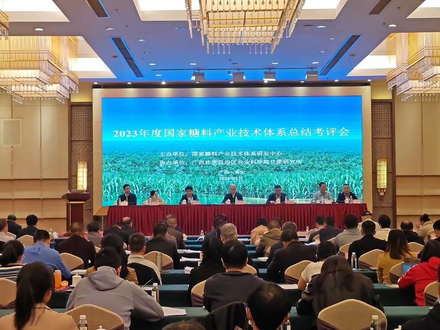 2023年度國家糖料產業技術體系在突破“卡脖子”難題上取得進展